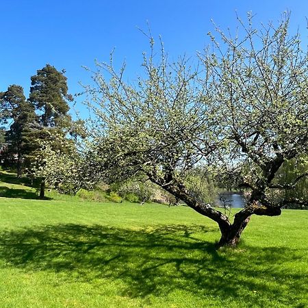 Villa Billerud Säffle Екстериор снимка