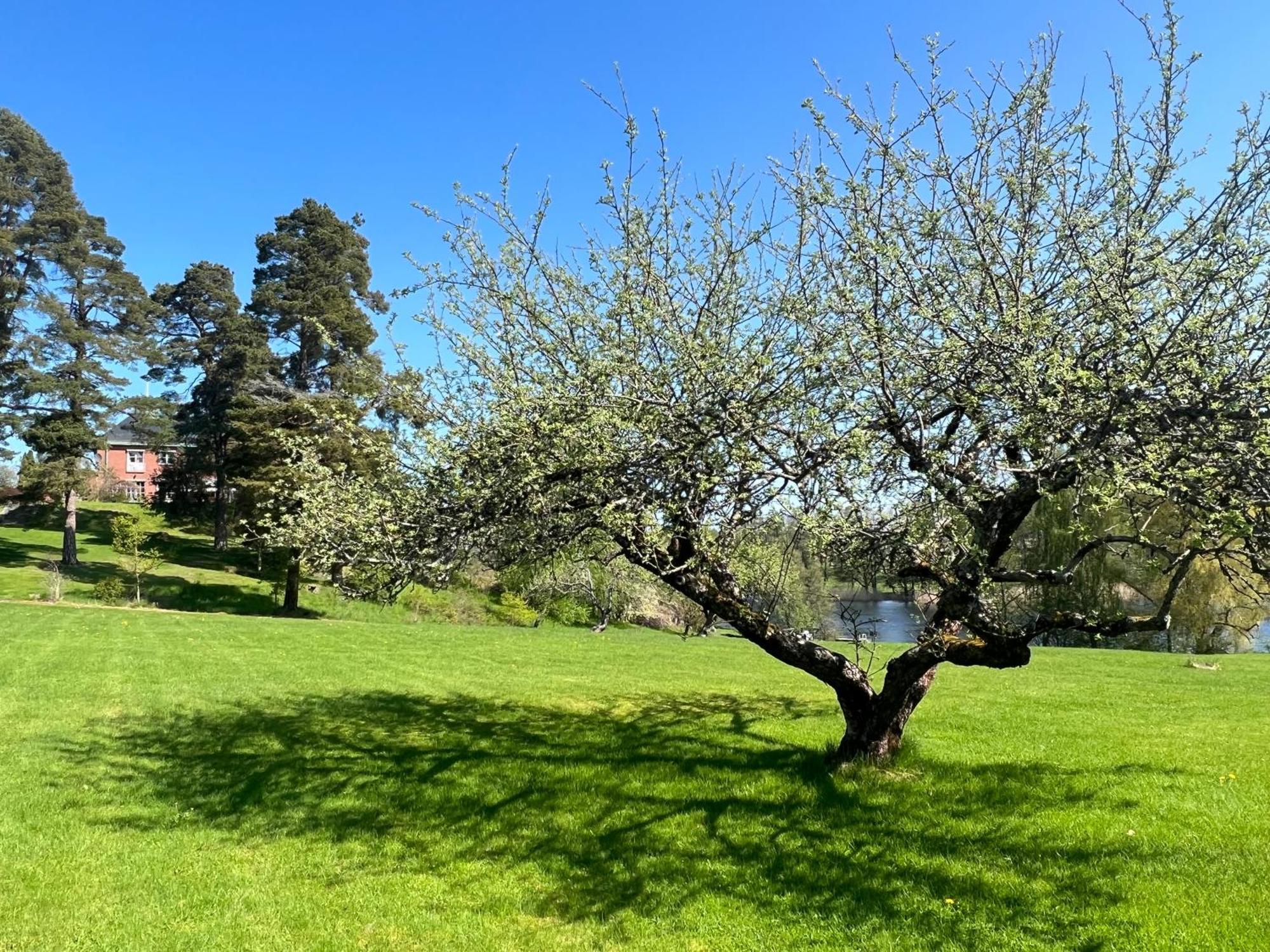 Villa Billerud Säffle Екстериор снимка